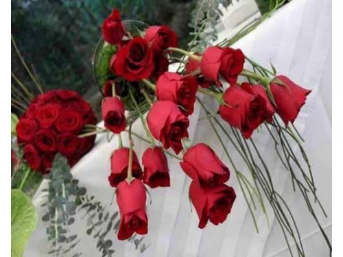 Flores en buen estado