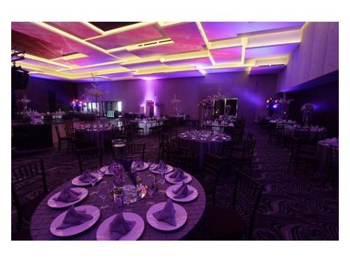 Elegancia en montajes