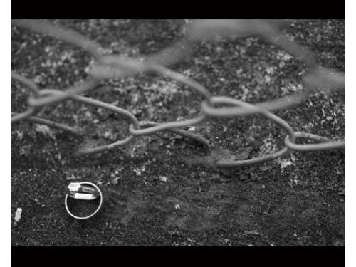 Anillos blanco y negro