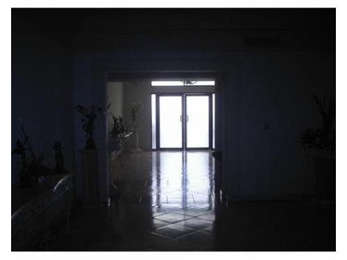 Decoración con flores