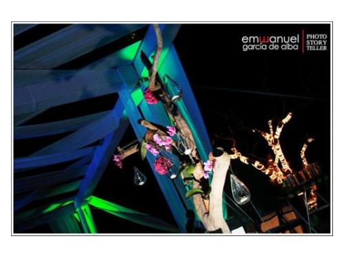 Flores e iluminación