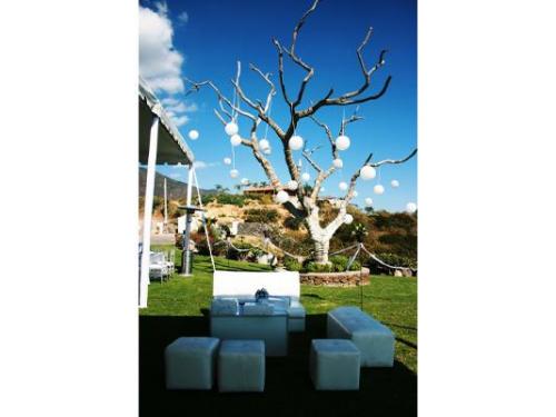 Decoración del lugar y salas lounge