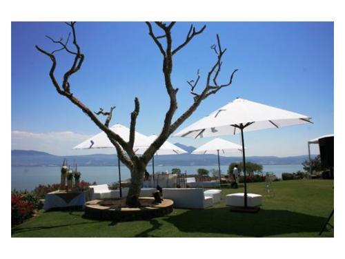 Área con sombrillas