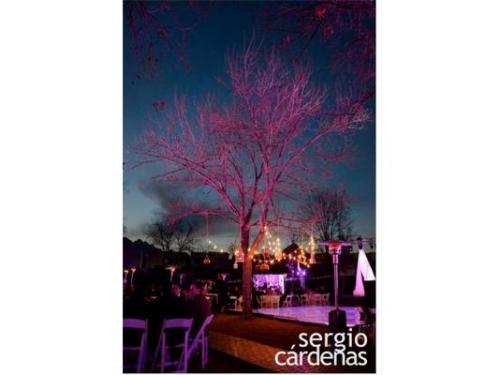 El mejor organizador para tu boda