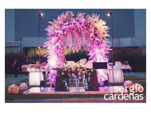 El mejor organizador para tu boda