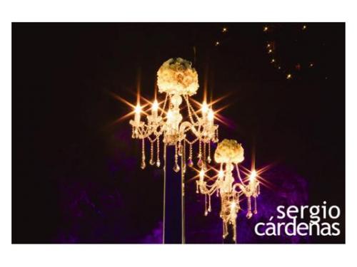 Cuidara cada detalle