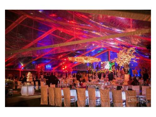 Experiencia en su ramo