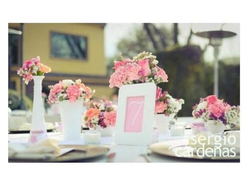 Solo tendrás que preocuparte por disfrutar