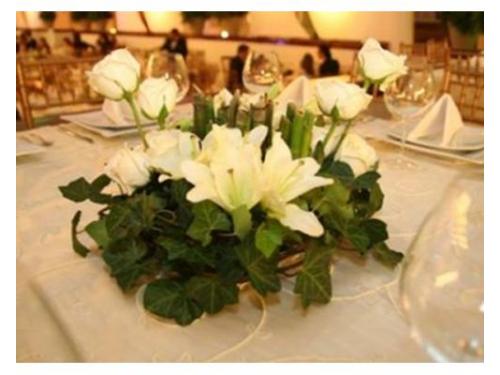 Diversidad en centros