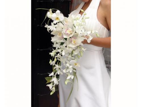 Ramo de orquideas en cascada