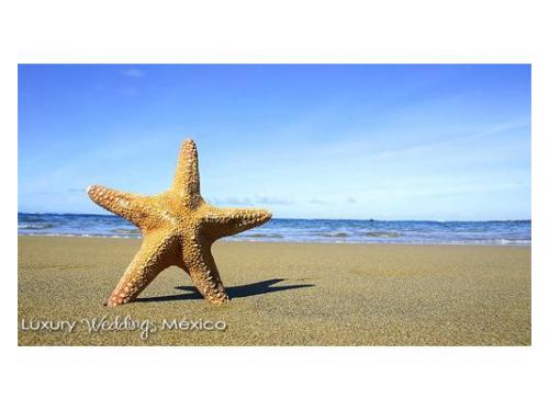 Organización de bodas