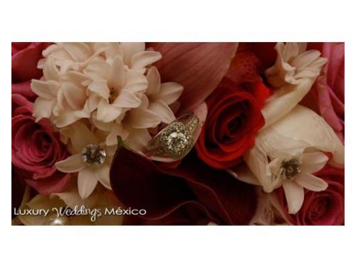 Tendrás 25 fotografías tan bellas como esta de regalo