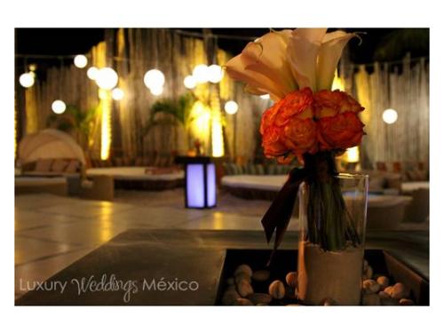 Ambientación e iluminación