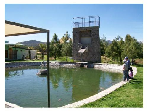 Disfruta con la familia