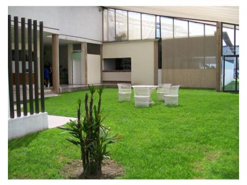 Montaje en el jardín