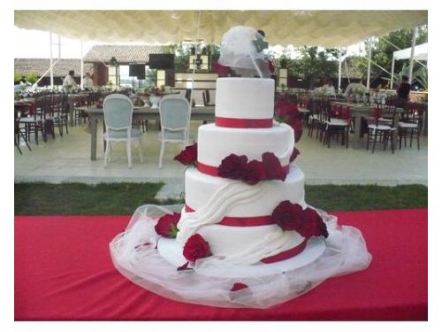 Hermosas rosas negras