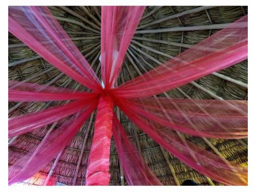 Decoración profesional