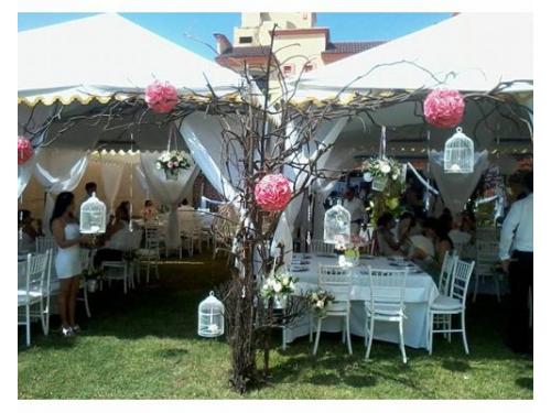 Montaje en el jardín