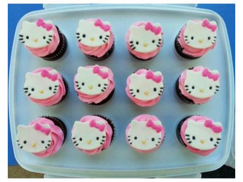 Cupcakes kitty