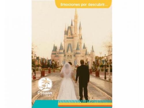 Tu luna de miel soñada