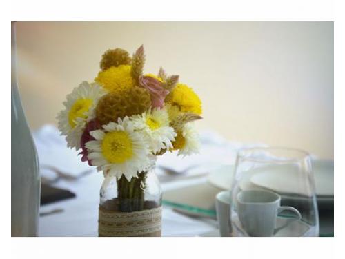 En búsqueda de la perfección