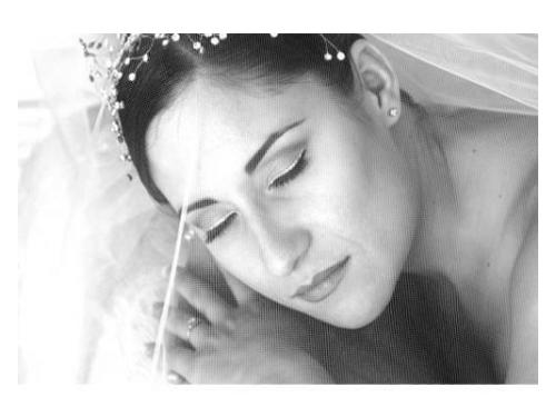 Retrato de novia en blanco y negro