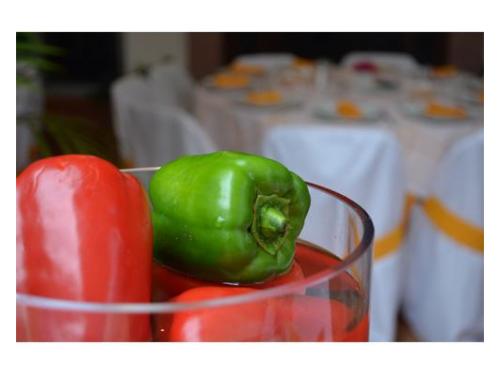 Montaje y decoración para tu eventos