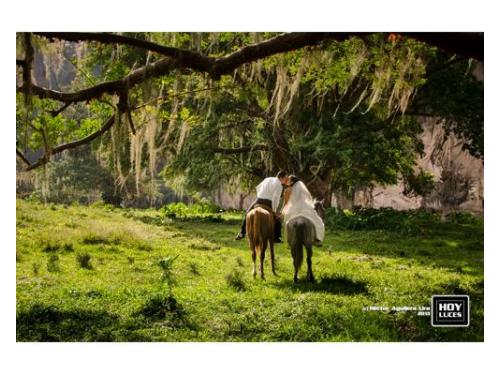 Fotografias trash the dress
