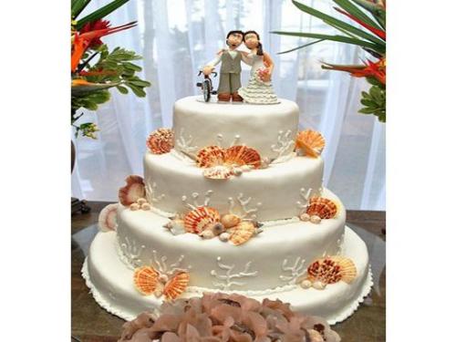 Decoración con conchas