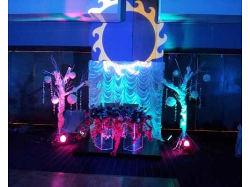 Iluminación en las flores