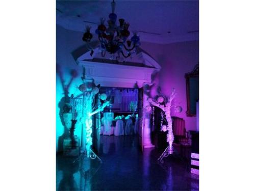 Decoración en la entrada