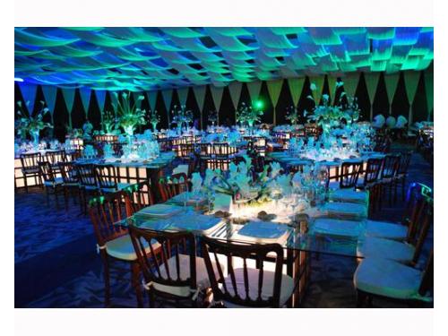 No tendrás que preocuparte por nada más