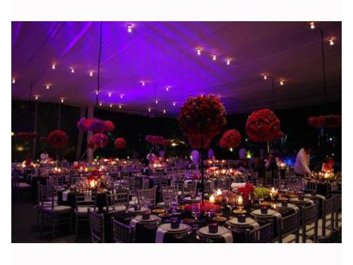 Preciosa decoración original