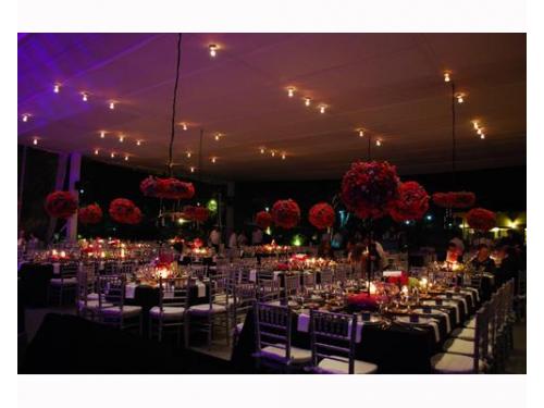 Excelente mobiliario y centros de mesa