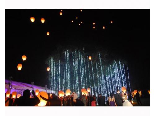 Lo mejor para tu boda