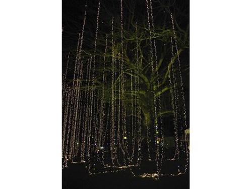 Preciosa iluminación de noche