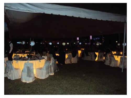 Montaje de boda en garden copal