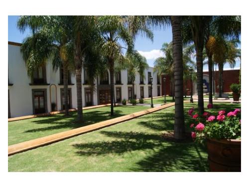 Jardín con palmeras