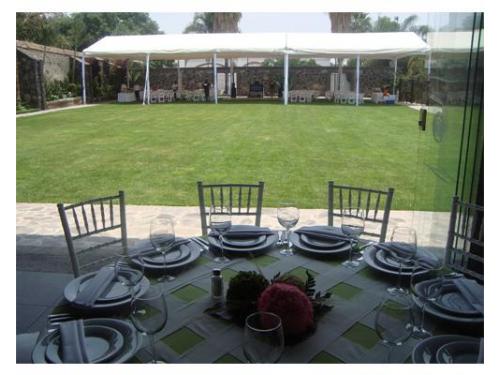 Disfruta de su vista