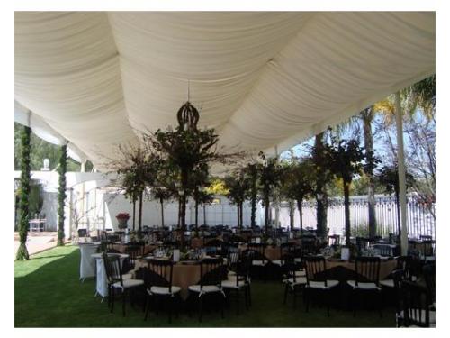 Elegante montaje en el jardín