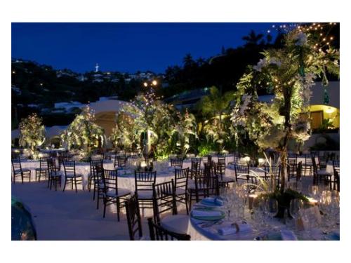 Excelente presentación