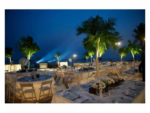 Montaje avant garde blanco