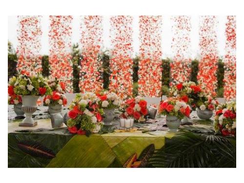 Gerardo Aguilar Fotógrafo