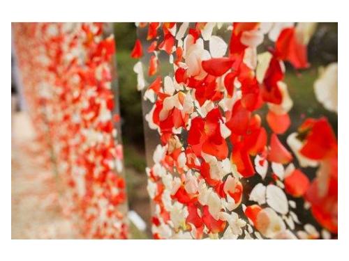 Gerardo Aguilar Fotógrafo