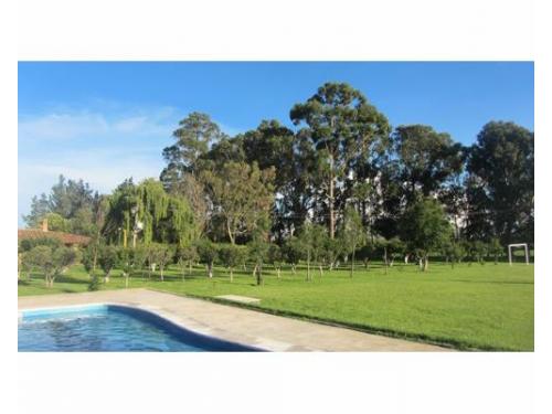 Alberca rancho los leones