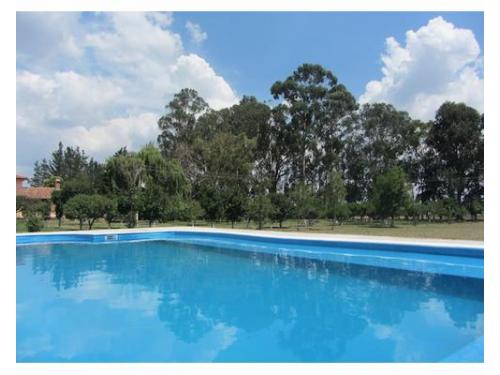 Relajate en la alberca