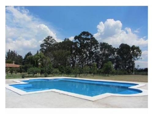 Disfruta del mejor clima en la alberca