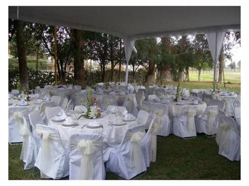 Tu recepción en el jardín