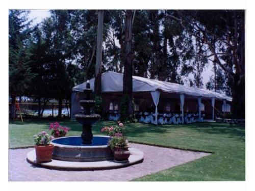 Fuente con decoración floral