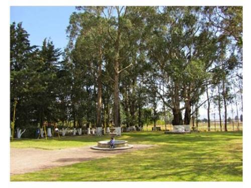 Organizadores de bodas expertos